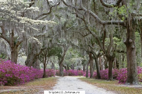 -   mb. 20 road hd wallpapers 1999 x