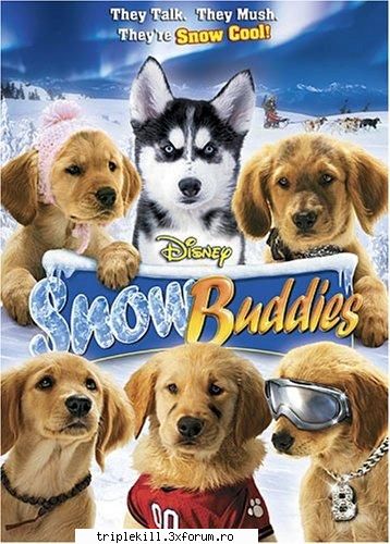 [fb.ro] snow buddies 2008